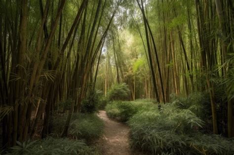  The Whispering Wind Through Bamboo Groves - Delikatne melodie w rytmie medytacji